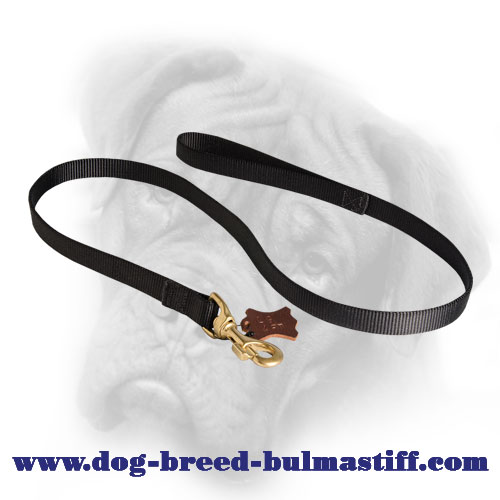 Feature-Rich Nylon Bullmastiff Leash