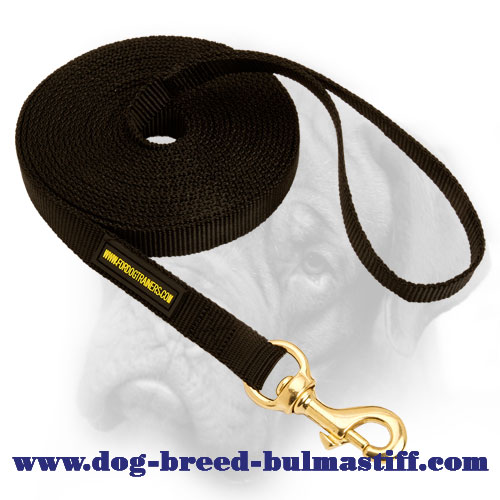 Practical Tracking and Training Nylon Leash for Bullmastiff