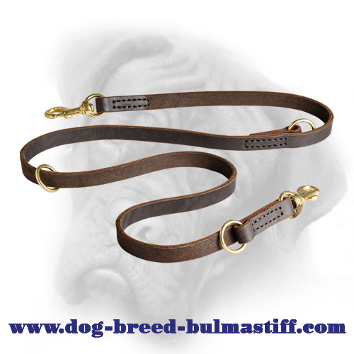 Double Training Leather Bullmastiff Leash