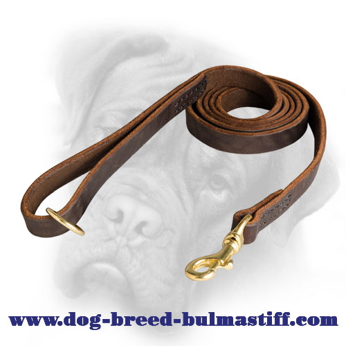 Practical Leather Bullmastiff Leash Reliably Stitched