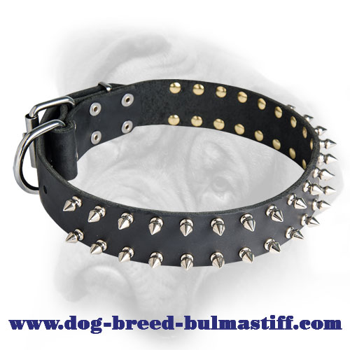 Spiked Dog Collar