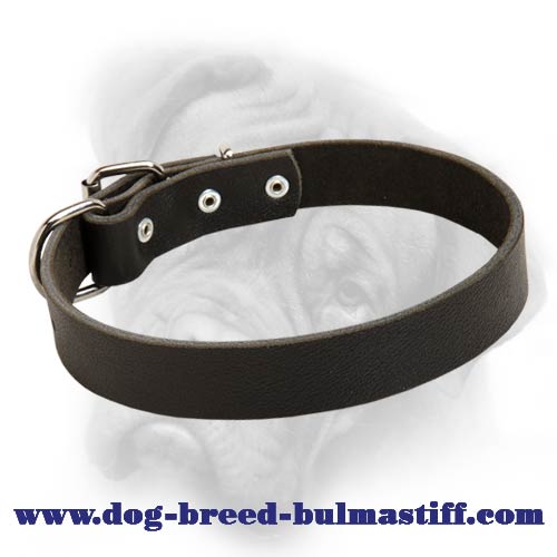 Premium Leather Dog Collar for Bullmastiff