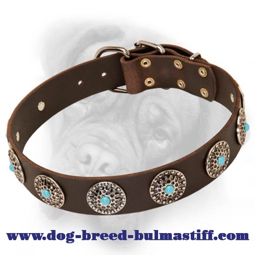 Bullmastiff leather dog collar of exquisite design for stylish walks and successful training