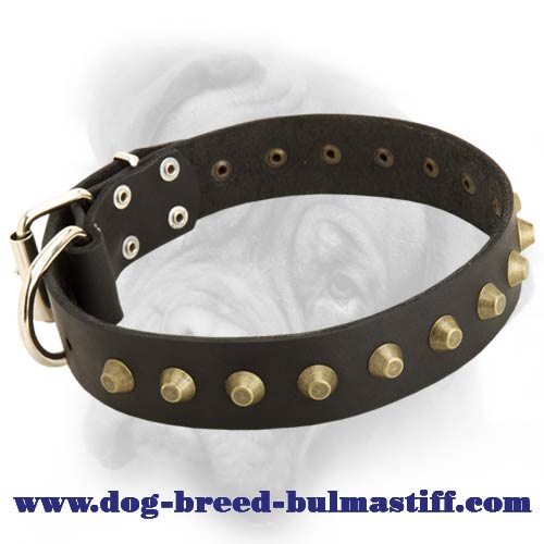 Impeccable quality and comfort of hand-decorated leather dog collar for Bullmastiff breed