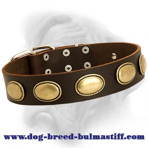 Retro Dog Leather Collar designed for Bullmastiff breed