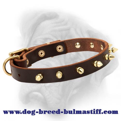 Premium Spiked Leather Dog Collar for Bullmastiff breed