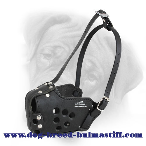 Bullmastiff Leather Muzzle for Police and Military Service