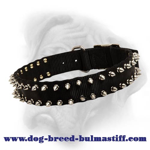 Black Nylon Spiked Dog Collar for Bullmastiff breed