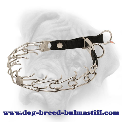 Stainless Steel Bullmastiff Pinch Collar with Click Lock Buckle and Nylon Loop - 1/8 inch (3.2 mm)