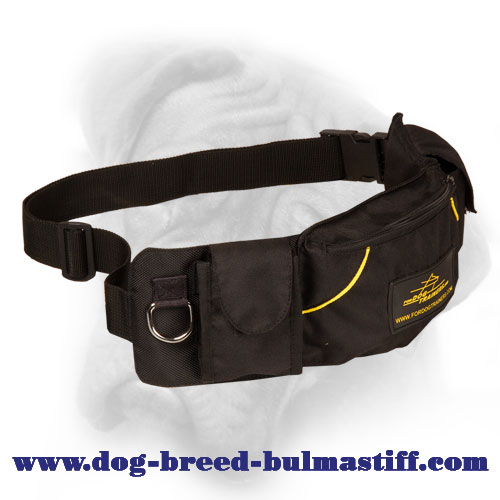 Convenient Nylon Pouch with Three Pockets for Bullmastiff Training