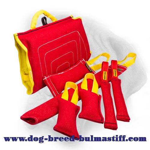 Introduce Your Bullmastiff to Bite Work with This Set
