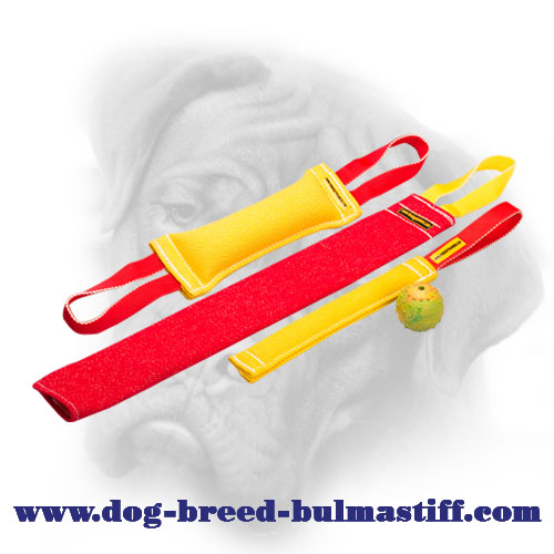 Bullmastiff Set of French Linen Bite Items