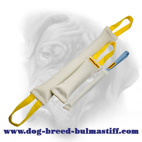 Fire Hose Bite Tugs Training Set for Bullmastiff