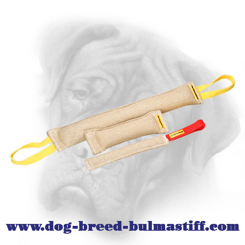 Set of Handy Jute Bite Tugs for Bullmastiff Puppy or Young Dog