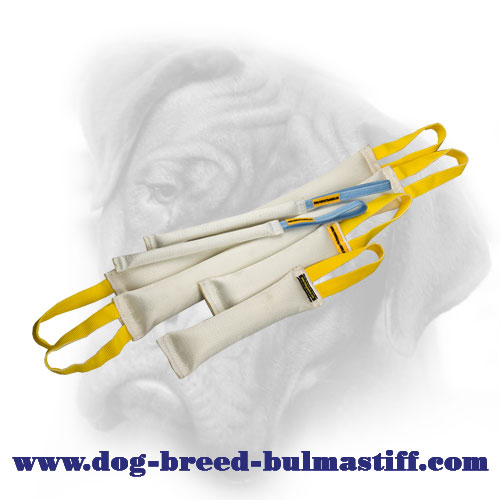 Think of the Future - Get This Set of Fire Hose Bite Tugs for Your Bullmastiff