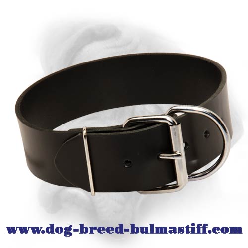 Extra Wide Leather Dog Collar for Bullmastiff breed