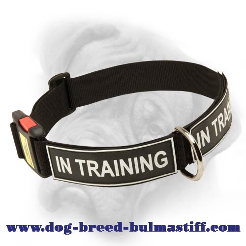 Bullmastiff all-weather training dog collar with id patches