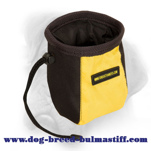 Rapid Treat Bag for Effective Bullmastiff Training