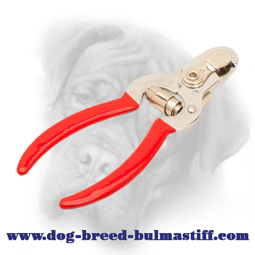 Nail Clipper - An Easy Way to Keep Your Bullmastiff Paws Looking Prime