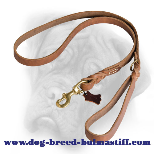 Leather Braided Dog Leash 1/4 inch for Bullmastiff