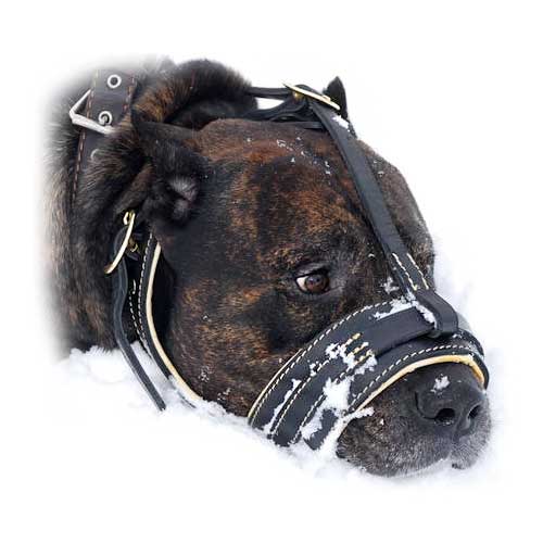 The best leather dog muzzle with Nappa leather padding