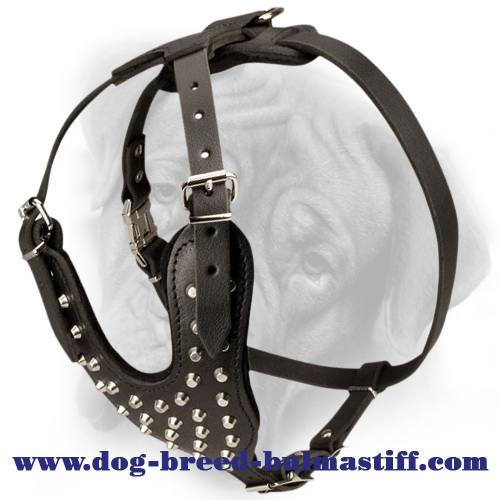 Durable leather dog harness with shiny pyramids