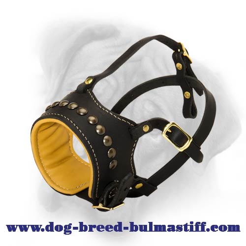 Superb hand crafted leather dog muzzle