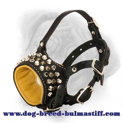 Exquisite decoration of leather dog muzzle