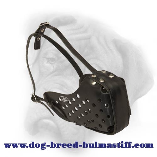 Top quality leather dog muzzle for training and walking