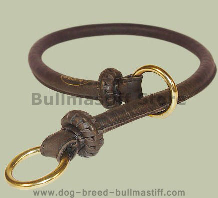 Stylish Leather Choke Dog Collar for your Bullmastiff