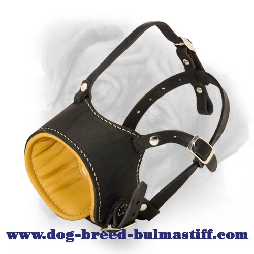 Specially designed Stop Dog Barking for Bullmastiff