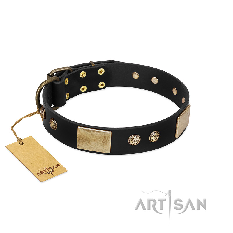 "Antique Gloss" FDT Artisan Black Leather Bullmastiff Collar with Bronze-like Plates and Small Studs