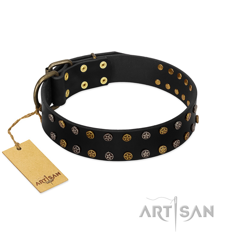 "Star Way" FDT Artisan Black Leather Bullmastiff Collar with Bronze-like and Silver-like Star Studs