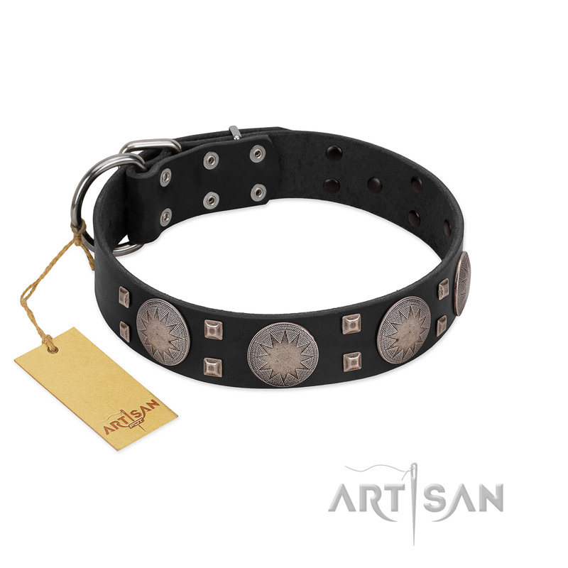 "Sun in Shining" Modern FDT Artisan Black Leather Bullmastiff Collar with Studs and Stars