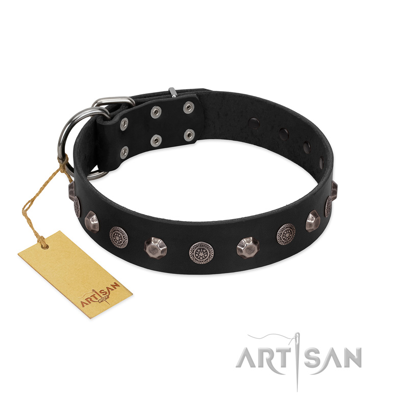 "Black Knight" Handmade FDT Artisan Black Leather Bullmastiff Collar with Silver-Like Studs