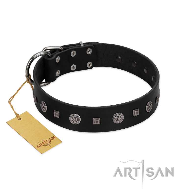 "Mr. Elegance" Designer FDT Artisan Black Leather Bullmastiff Collar with Silver-Like Studs