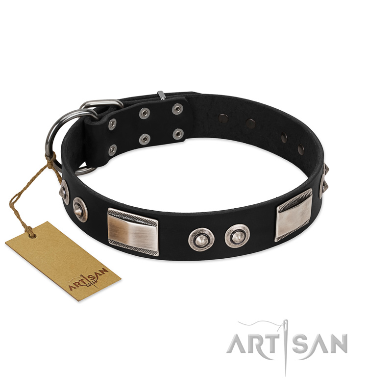 "Grand Wear" FDT Artisan Black Leather Bullmastiff Collar with Shining Plates and Spiked Studs