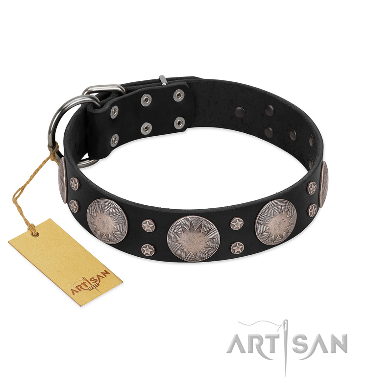 "Starry Sky" Trendy FDT Artisan Black Leather Bullmastiff Collar with Large Brooches