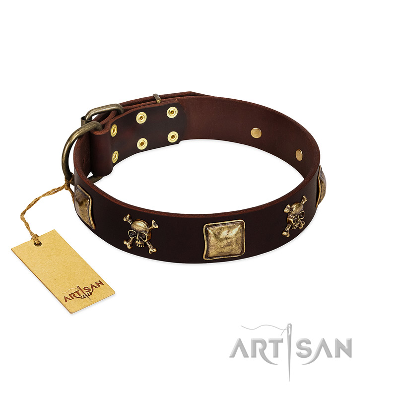 "Crazy Pirate" FDT Artisan Brown Leather Bullmastiff Collar with Old Bronze-Plated Skulls and Plates
