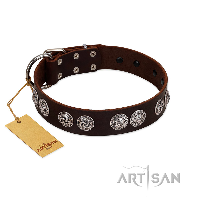 "High and Mighty" FDT Artisan Classy Brown Leather Bullmastiff Collar with Embellished Brooches