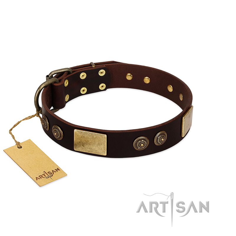 "Bow-Wow Effect" FDT Artisan Brown Leather Bullmastiff Collar with Plates and Ornate Studs - Click Image to Close