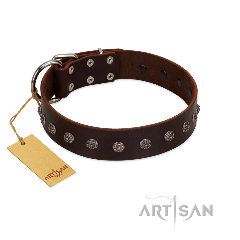 "Graceful Classic" Mod FDT Artisan Brown Leather Bullmastiff Collar