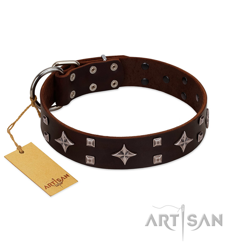 "Trendy Candy" FDT Artisan Brown Leather Bullmastiff Collar Adorned with Stars and Tiny Squares