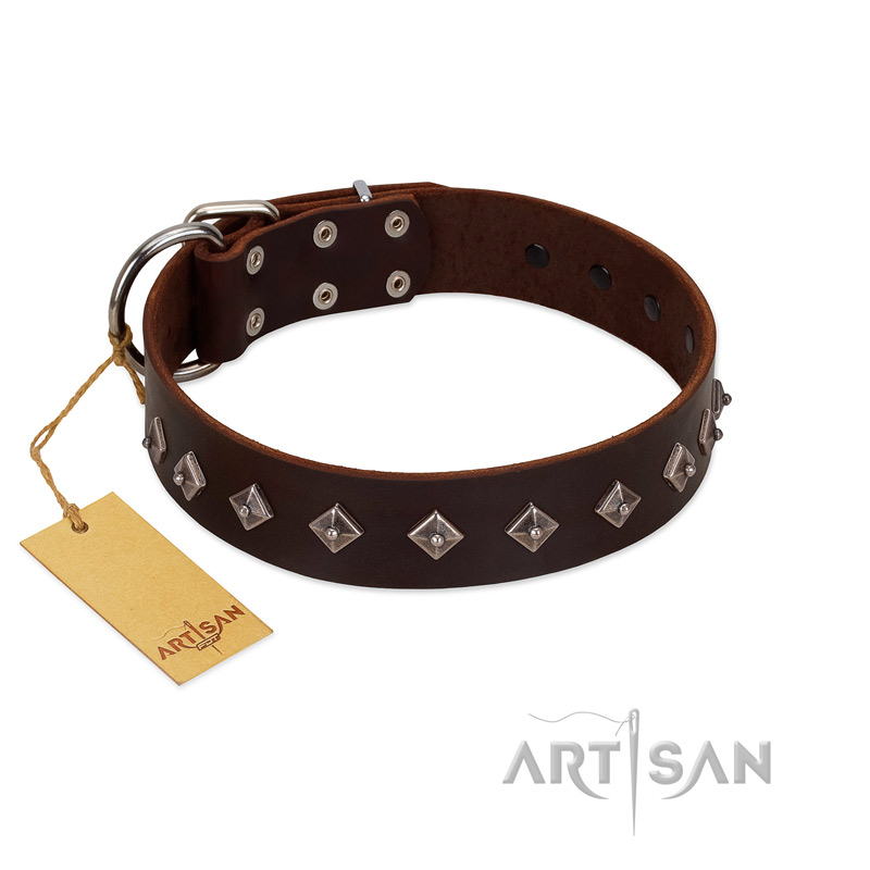 "Boundless Energy" Premium Quality FDT Artisan Brown Designer Leather Bullmastiff Collar with Small Pyramids