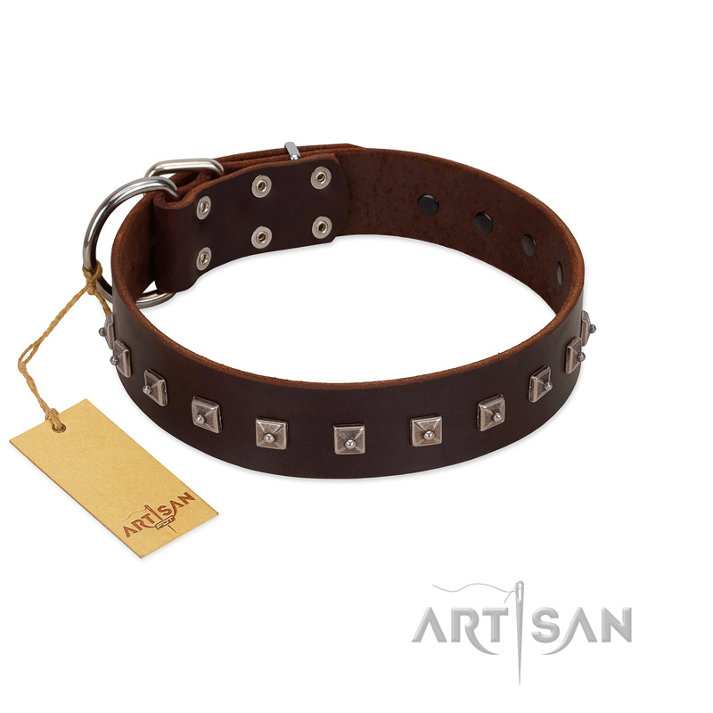 "Kingly Grace" FDT Artisan Brown Leather Bullmastiff Collar with Silver-like Dotted Studs