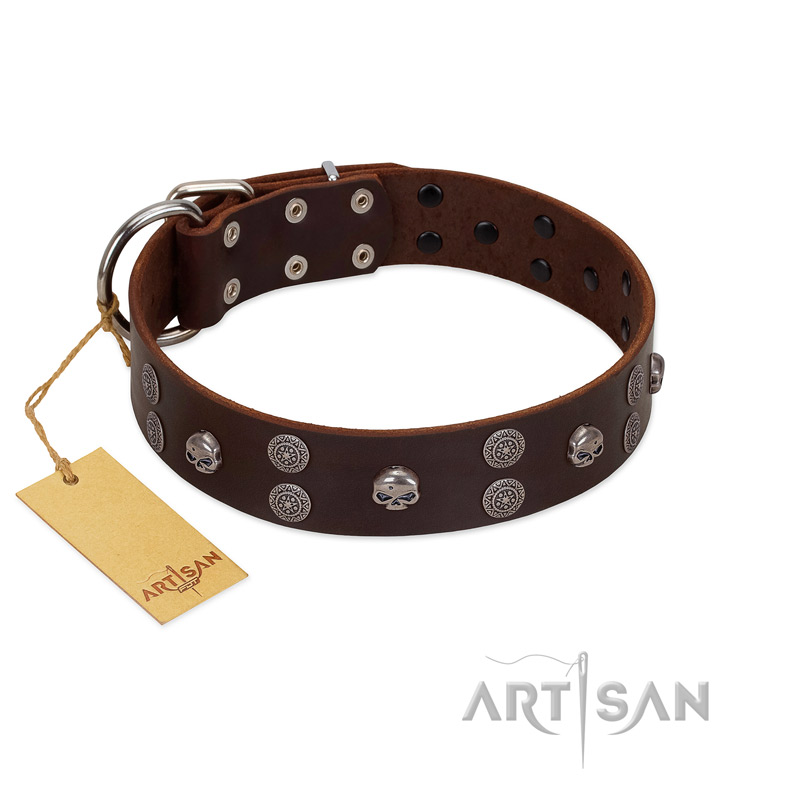 "Skull Valley" Handcrafted FDT Artisan Brown Leather Bullmastiff Collar with Skulls