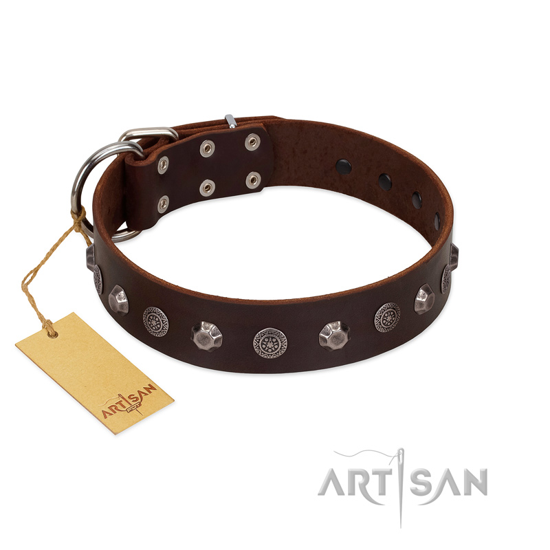 "Dark Chocolate" Handmade FDT Artisan Brown Leather Bullmastiff Collar with Studs