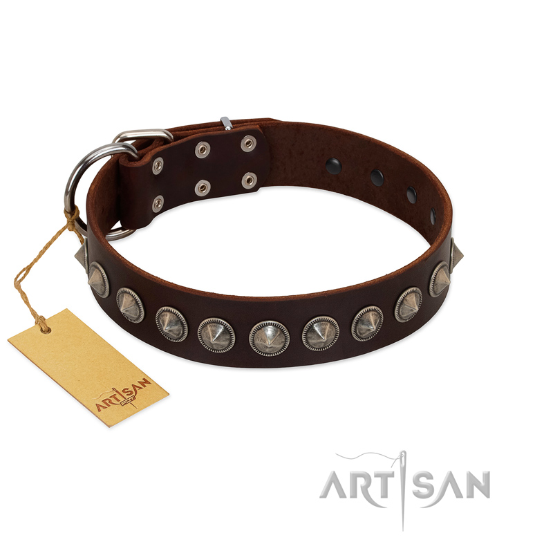 "Gothic Style" FDT Artisan Fancy Brown Leather Bullmastiff Collar with Silver-Like Decorations