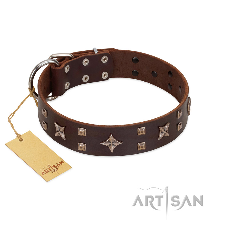 "Stars in Sands" Modern FDT Artisan Brown Leather Bullmastiff Collar with Studs and Stars