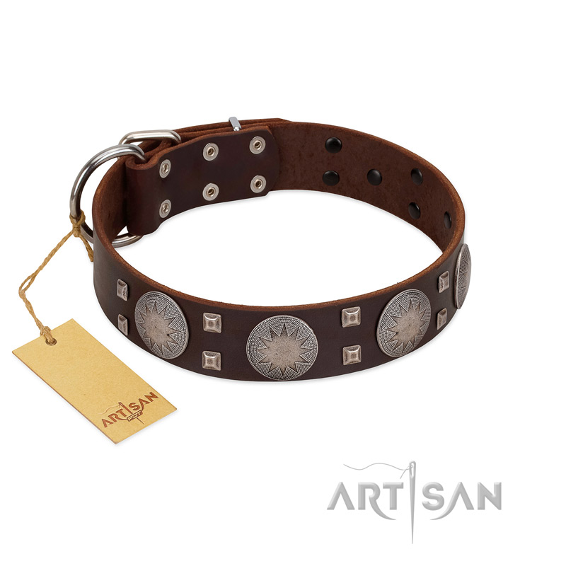 "Sun in Barchans" Modern FDT Artisan Brown Leather Bullmastiff Collar with Engraved Stars on Round Plates and Studs